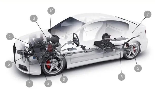 International Cooperation (5).jpg